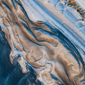 Meet your Posher, Reginald